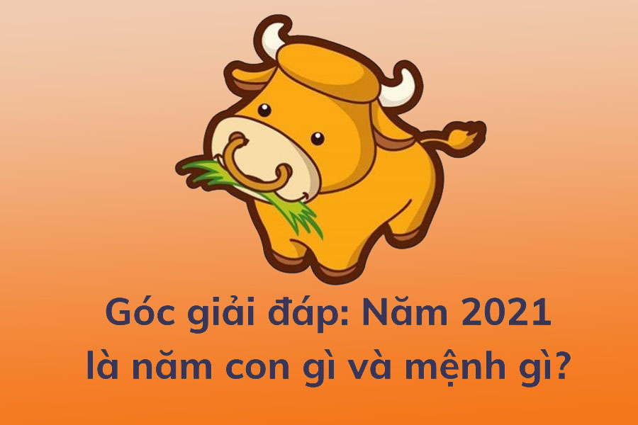 nam-2021-la-nam-con-gi