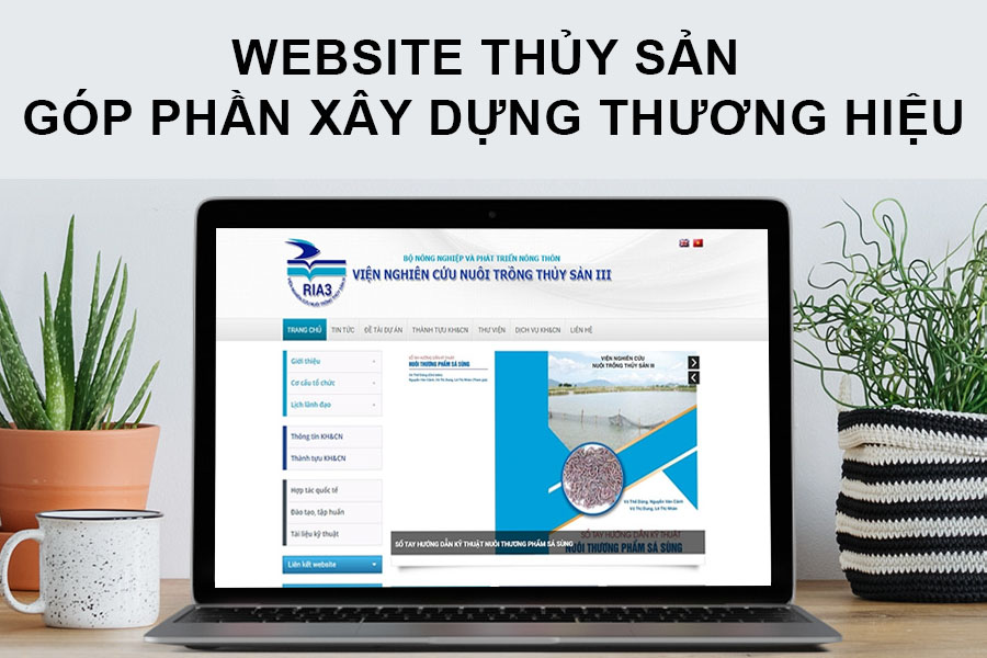 website-thuy-san-gop-phan-xay-dung-thuong-hieu