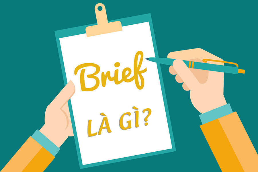 Brief là gì? Những loại brief nào được sử dụng phổ biến hiện nay?