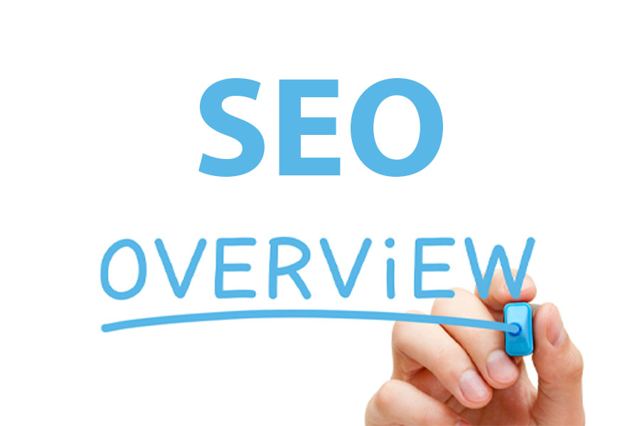 Dịch vụ SEO overview