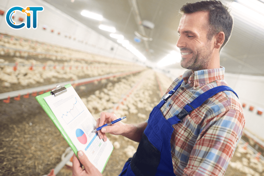 Lợi ích của phần mềm quản lý sản xuất thức ăn chăn nuôi