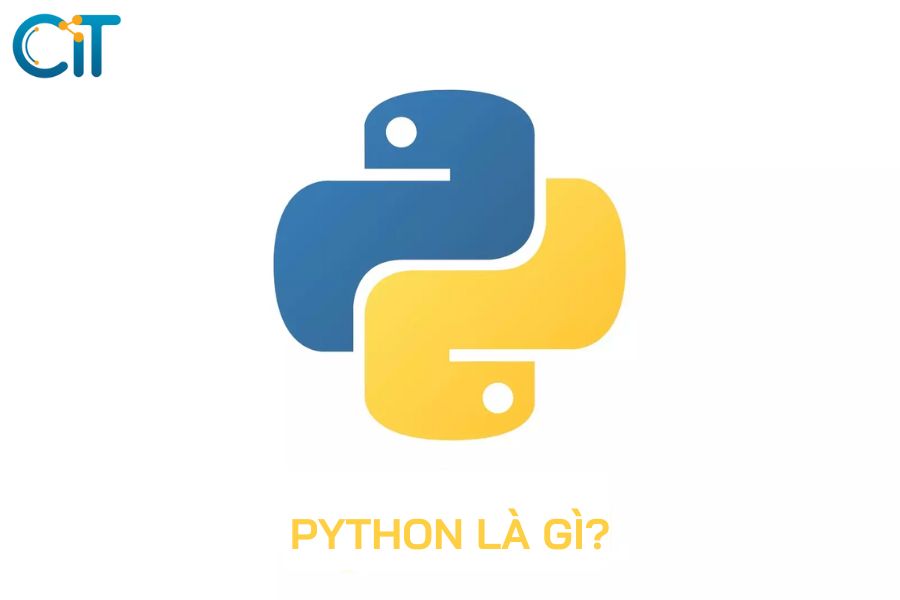 Python là gì?