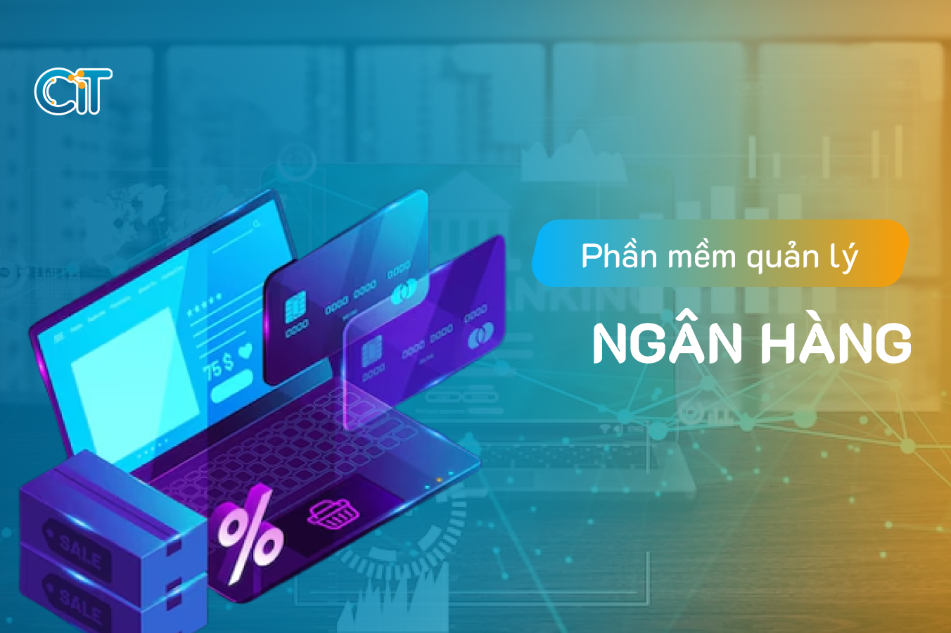 phần mềm quản lý ngân hàng