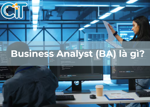 Business Analyst (BA)