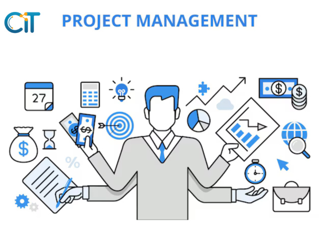 Project Manager (PM)