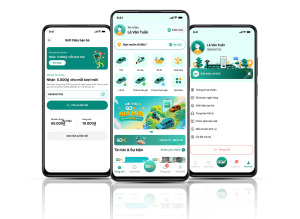 Thiết kế app lái xe hộ, tài xế lái hộ